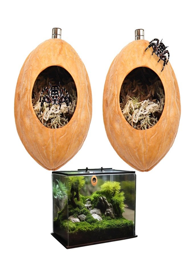MHLLGN 2 Pack Jumping Spider Enclosure Accessories with Walnut Shell Moss and Magnet, Natural Material Jumping Spider Hide - Image 1